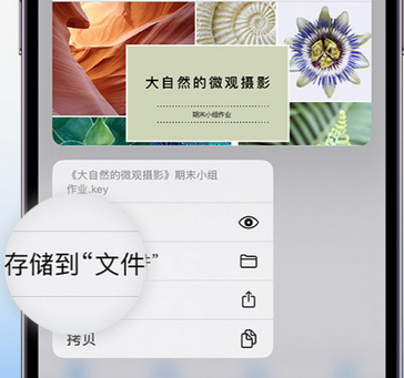 巴林左apple维修中心分享iPhone文件应用中存储和找到下载文件