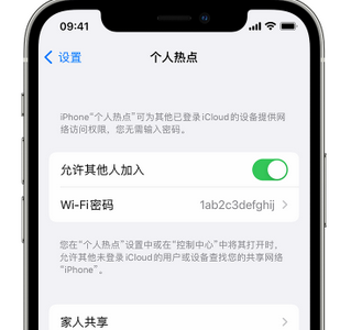 巴林左apple服务站点分享iPhone上个人热点丢失了怎么办 