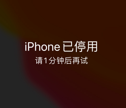 巴林左苹果手机维修分享:iPhone 显示“不可用”或“已停用”怎么办？还能保留数据吗？ 