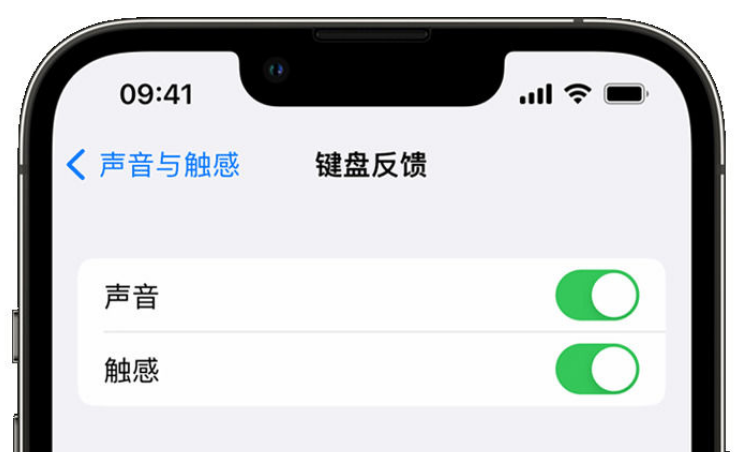 巴林左苹果手机维修分享iPhone 14触感键盘使用方法 