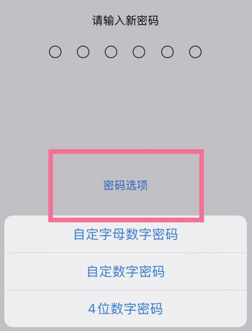 巴林左苹果14维修分享iPhone 14plus设置密码的方法 