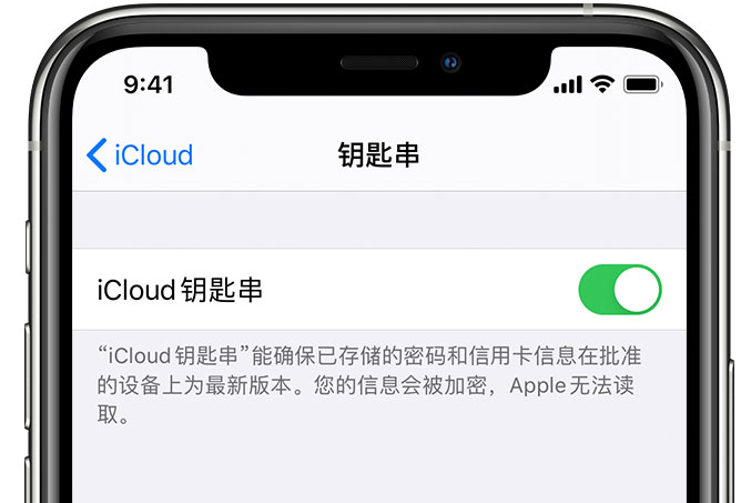 巴林左苹果手机维修分享在 iPhone 上开启 iCloud 钥匙串之后会储存哪些信息 