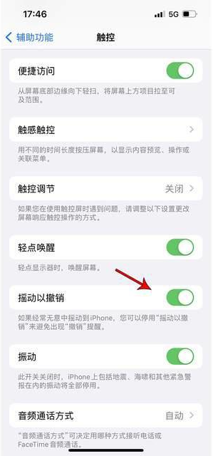 巴林左苹果手机维修分享iPhone手机如何设置摇一摇删除文字 